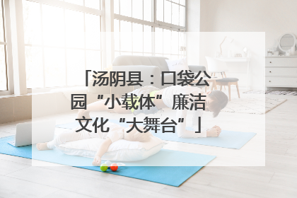 汤阴县：口袋公园“小载体”廉洁文化“大舞台”