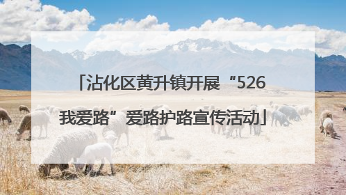 沾化区黄升镇开展“526我爱路”爱路护路宣传活动