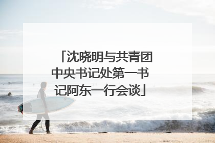 沈晓明与共青团中央书记处第一书记阿东一行会谈