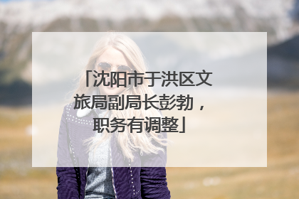 沈阳市于洪区文旅局副局长彭勃，职务有调整