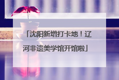 沈阳新增打卡地！辽河非遗美学馆开馆啦