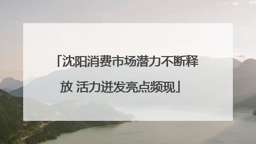 沈阳消费市场潜力不断释放 活力迸发亮点频现