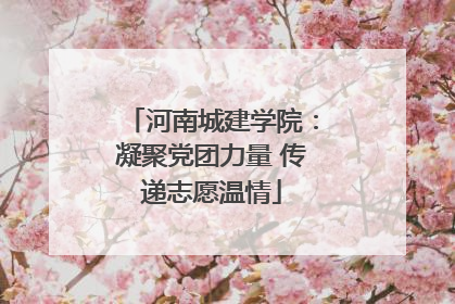 河南城建学院：凝聚党团力量 传递志愿温情