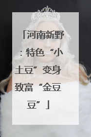 河南新野：特色“小土豆”变身致富“金豆豆”
