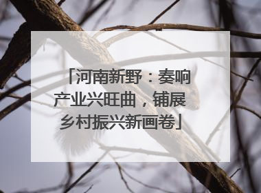 河南新野：奏响产业兴旺曲，铺展乡村振兴新画卷