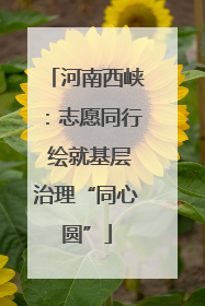 河南西峡：志愿同行 绘就基层治理“同心圆”