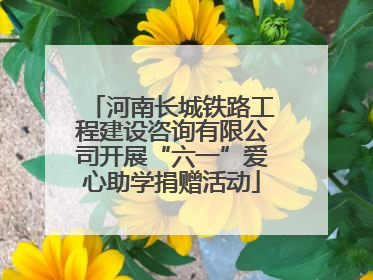 河南长城铁路工程建设咨询有限公司开展“六一”爱心助学捐赠活动