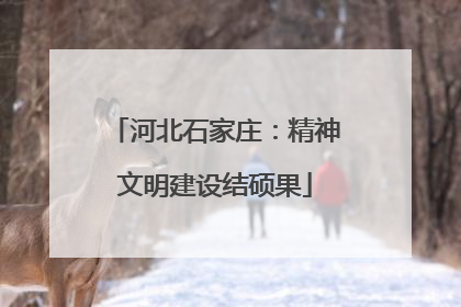 河北石家庄：精神文明建设结硕果