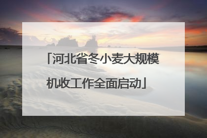河北省冬小麦大规模机收工作全面启动