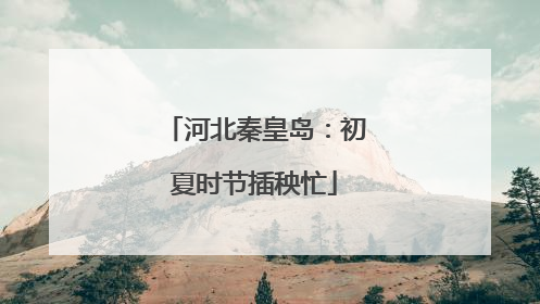 河北秦皇岛：初夏时节插秧忙