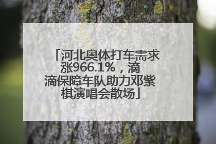河北奥体打车需求涨966.1%，滴滴保障车队助力邓紫棋演唱会散场