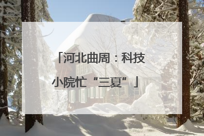 河北曲周：科技小院忙“三夏”