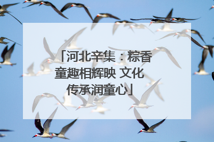 河北辛集：粽香童趣相辉映 文化传承润童心