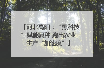 河北高阳：“黑科技”赋能夏种 跑出农业生产“加速度”