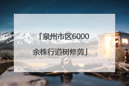 泉州市区6000余株行道树修剪
