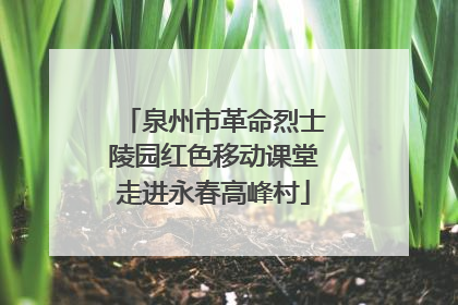 泉州市革命烈士陵园红色移动课堂走进永春高峰村