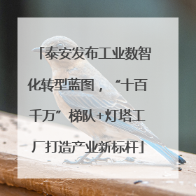 泰安发布工业数智化转型蓝图，“十百千万”梯队+灯塔工厂打造产业新标杆