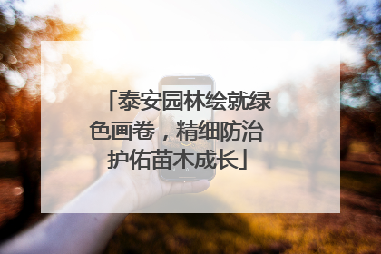 泰安园林绘就绿色画卷，精细防治护佑苗木成长