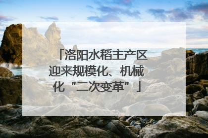 洛阳水稻主产区迎来规模化、机械化“二次变革”