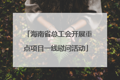海南省总工会开展重点项目一线慰问活动