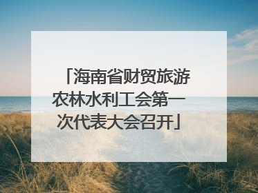 海南省财贸旅游农林水利工会第一次代表大会召开