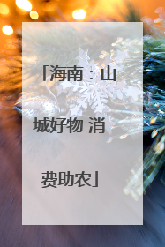 海南：山城好物 消费助农