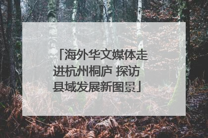 海外华文媒体走进杭州桐庐 探访县域发展新图景