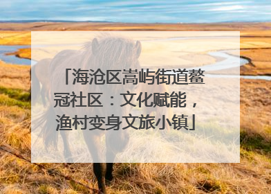 海沧区嵩屿街道鳌冠社区：文化赋能，渔村变身文旅小镇