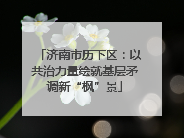 济南市历下区：以共治力量绘就基层矛调新“枫”景