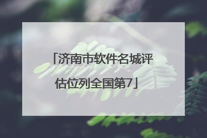 济南市软件名城评估位列全国第7