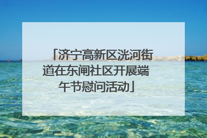 济宁高新区洸河街道在东闸社区开展端午节慰问活动