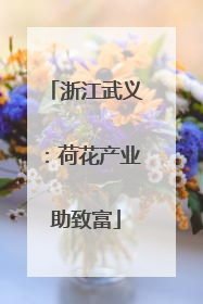 浙江武义：荷花产业助致富