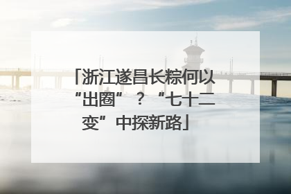 浙江遂昌长粽何以“出圈”？“七十二变”中探新路