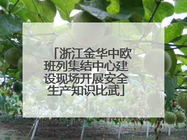 浙江金华中欧班列集结中心建设现场开展安全生产知识比武