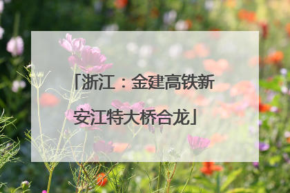浙江：金建高铁新安江特大桥合龙