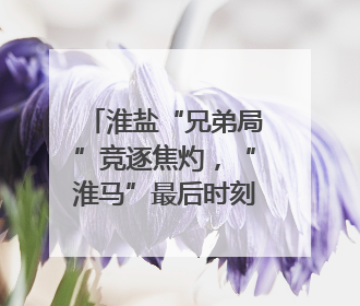 淮盐“兄弟局”竞逐焦灼，“淮马”最后时刻0:1憾负“盐鹿”
