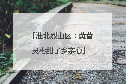 淮北烈山区：黄营灵枣甜了乡亲心