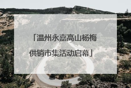 温州永嘉高山杨梅供销市集活动启幕