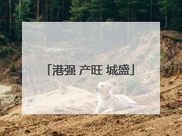 港强 产旺 城盛