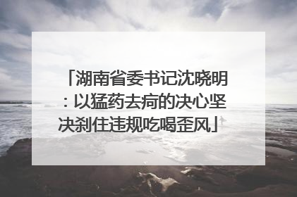 湖南省委书记沈晓明：以猛药去疴的决心坚决刹住违规吃喝歪风