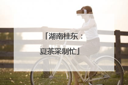 湖南桂东：夏茶采制忙