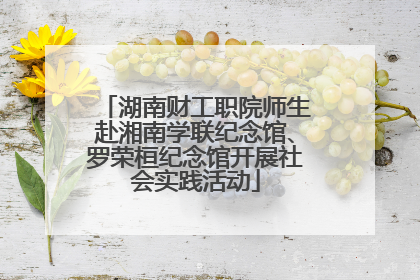 湖南财工职院师生赴湘南学联纪念馆、罗荣桓纪念馆开展社会实践活动