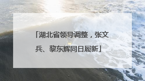 湖北省领导调整，张文兵、黎东辉同日履新