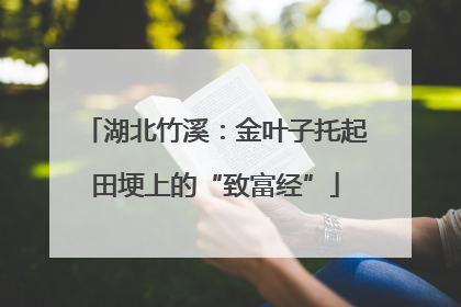 湖北竹溪：金叶子托起田埂上的“致富经”