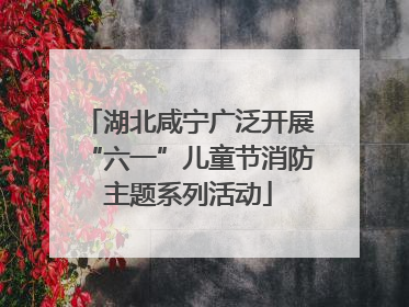 湖北咸宁广泛开展“六一”儿童节消防主题系列活动