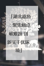 湖北嘉鱼：聚焦痛点破难题 创新实干优环境