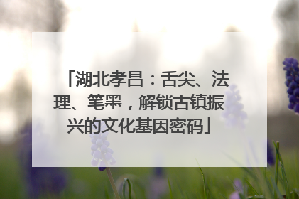 湖北孝昌：舌尖、法理、笔墨，解锁古镇振兴的文化基因密码