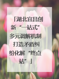 湖北宜昌创新“一站式”多元调解机制 打造矛盾纠纷化解“终点站”