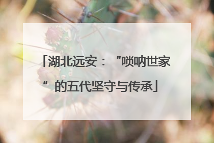 湖北远安：“唢呐世家”的五代坚守与传承