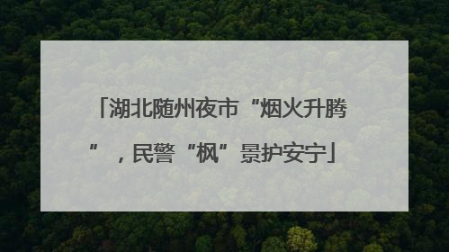 湖北随州夜市“烟火升腾”，民警“枫”景护安宁
